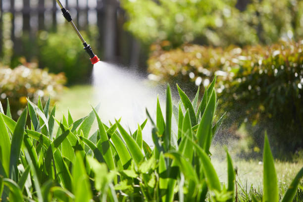 24/7 Emergency Fumigation Services experts in Newark, OH