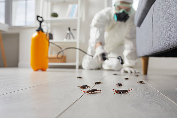 Trusted Termite Control service in Newark, OH - Nex Pest Control